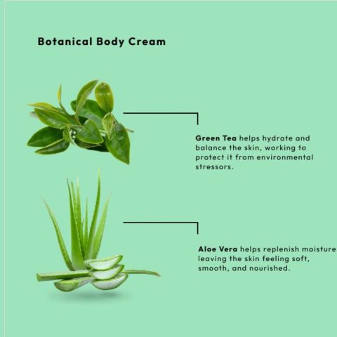 BCL SPA - Radiance Body Cream - Green Tea - 88 ml.