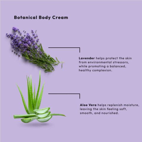 BCL SPA - Radiance Body Cream - Lavender - 88 ml