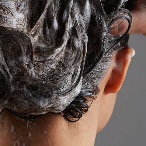 REF - Intense Hydrate - Shampoo