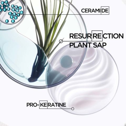 Kérastase - Résistance Bain Force Architecte Restorative Shampoo for Damaged Hair - 500 ml