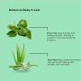 BCL SPA - Radiance Body Cream - Green Tea - 88 ml.