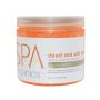 BCL SPA - Dead Sea Salt Soak Mandarin+Mango - 454 gr.
