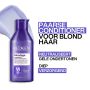 Redken - Color Extend Blondage - Conditioner for Blonde Hair