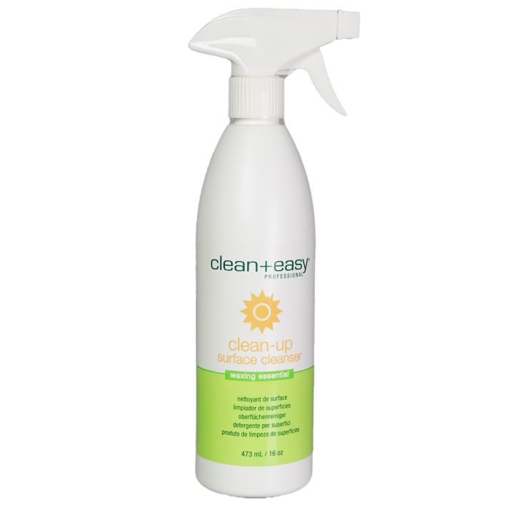 Clean and Easy Clean Up Surface Cleanser - 473 ml