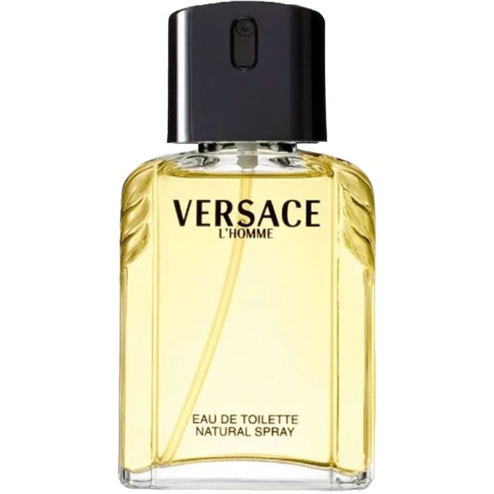 Versace L'Homme Edt Spray 100 ml