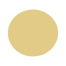 ibp - Transfer Foil - Gold TF213